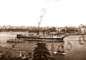 SS BENDIGO in Sydney Harbour, New South Wales, steam ship