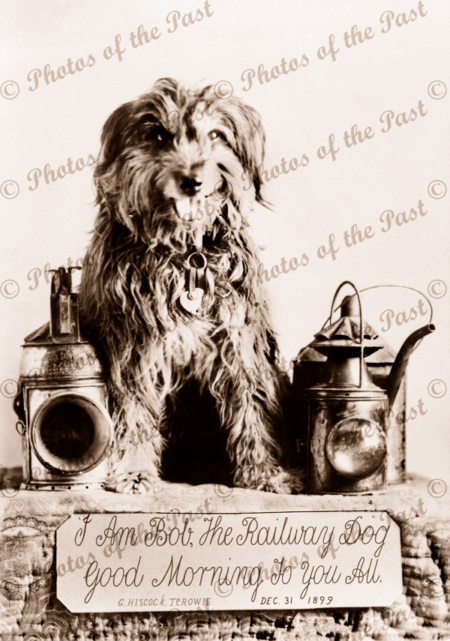 Bob the Railway Dog (1878-1895) at Terowie SA South Australia 1899