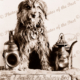 Bob the Railway Dog (1878-1895) at Terowie SA South Australia 1899