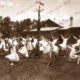 School children doing the Maypole Dance 1901