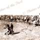 Laden camel train, construction overland telegraph 1871
