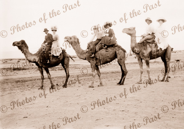 Three couples on three camels c1910