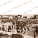 SS LANDSDOWN TOWER unloading 312 camels at Pt Augusta, SA 1897