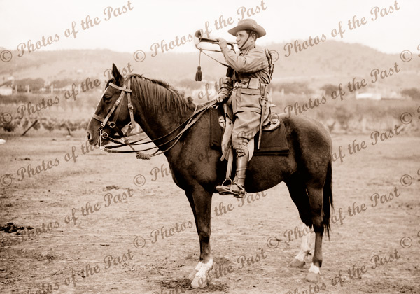 Bugler Berryman 1918, horse