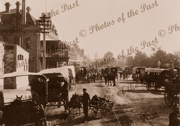East Terrace, Adelaide, SA, South Australia 1903 carriages carts