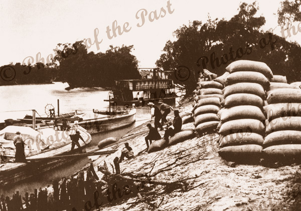 Loading wheat into barges at Loxton SA South Australia c1910