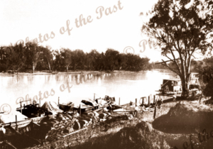 Loaded barges at Loxton SA South Australia c1910