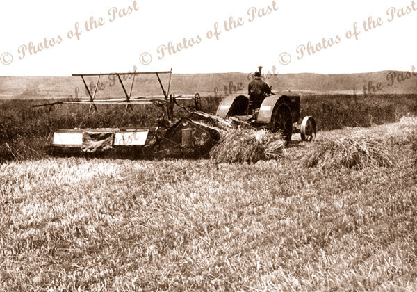 Hay making at Willunga SA. South Auatralia c 1940s