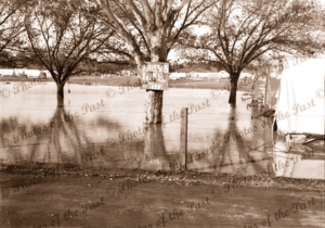 'Musso Lake' flooded Army camp, Pasadena, SA. 1940