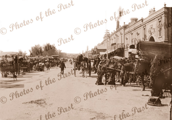 Market Day. East Terrace, Adelaide, SA, South Australia, horses, carriages 1910s