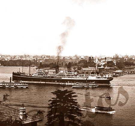 SS BENDIGO in Sydney Harbour, New South Wales, steam ship 1920s