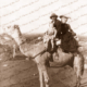 Family aboard their camel. 1905