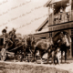Cobb & Co coach at Anglesea Hotel, Vic.Victoria Great Ocean Road 1908 horses