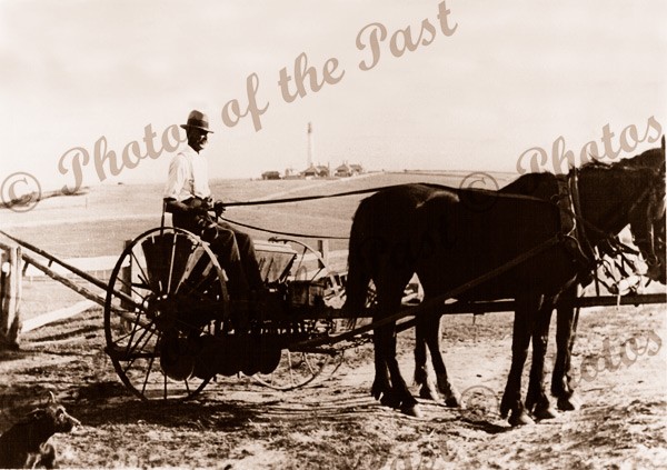 Farmer on drill, Aireys Inlet, Vic. c1910s Victoria. Great Ocean Road. Horse. Lighthouse