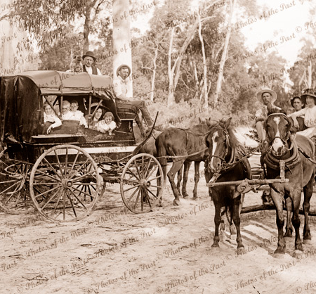 Horse drawn vehicles at Badger Creek (near Healesville) Vic. c1910s. Victoria.