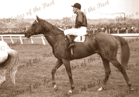 'RUSSIA' winner of Melbourne Cup, Vic. Jockey, D.Monroe. Horse racing. Flemington. Victoria.1946