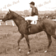 'RUSSIA' winner of Melbourne Cup, Vic. Jockey, D.Monroe. Horse racing. Flemington. Victoria.1946
