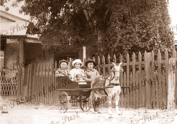Grundy children in goat cart Second Valley. Lionel, Melva, Joe, Thelma. c1920. South Australia. Finnis Vale. SA. South Australia.