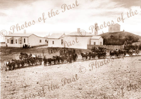 Cape Jervis, SA. - Lighthouse cottages. c1890s. South Australia. Horse and carriage
