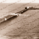 Largs Bay Jetty showing train, SA 1898. South Australia