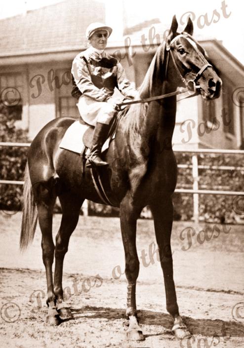 'Peter Pan' winner of Melbourne Cup, 1932 & 1934, c1934. horse racing