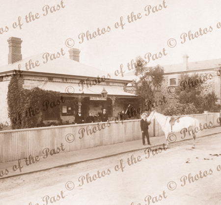 Mitcham Police Station & Institute, SA. c1898. South Australia. Horse