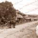 High St, Willunga SA - hotel on left (Dr. Jay's buggy) c1890s. South Australia. Horse and carriage