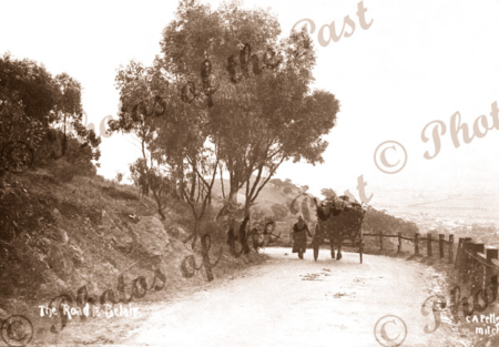 Going down Old Belair Rd, Adelaide, SA. c1910. Horse and carriage