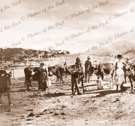 Dairy maids tending their herd in Pichi Richi Pass, SA. Devil's Prak in background. 1890s. South Australia. Flinders Rangers.