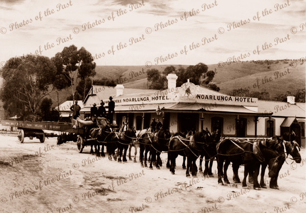 Horse team at Noarlunga Hotel, SA. c1920s. South Australia. horse and cart