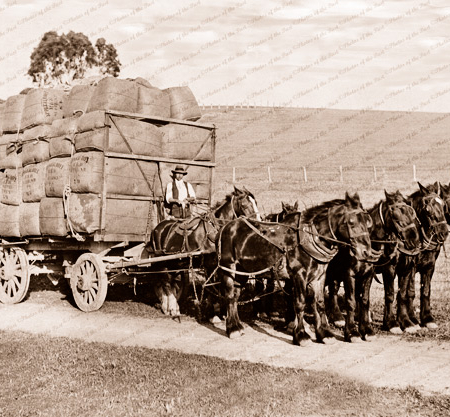 A load of wool from Appakaldree (horse drawn)Hat Flat Rd,Normanville, SA. 1910s. South Australia.