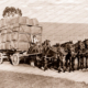 A load of wool from Appakaldree (horse drawn)Hat Flat Rd,Normanville, SA. 1910s. South Australia.
