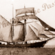 Topsail schooner DISPATCH under sail, shipping