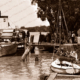 Paddle steamer at Mannum SA. South Australia. c1917