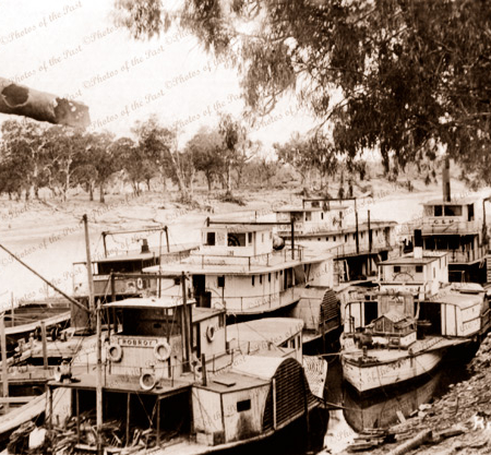 Paddle steamers at Morgan SA. c1915. South Australia. Murray River