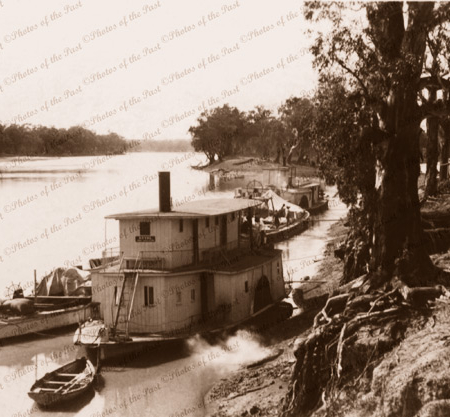 PS POYAL at river bank. 1920s. Paddle Steamers