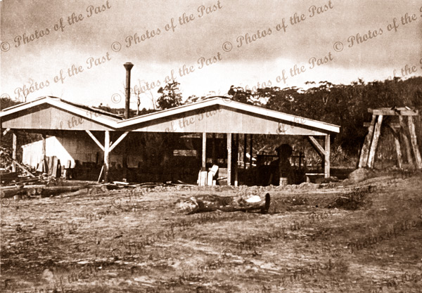 Sawmill, Hindmarsh Tiers SA. c1915. South Australia. Forestry