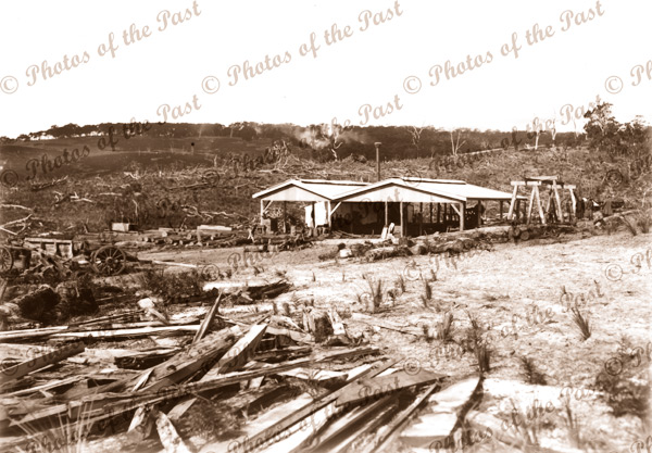 Sawmill, Hindmarsh Tiers SA. c1915. South Australia. Forestry