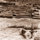 Cut logs, Hindmarsh Tiers SA. c1915. South Australia. Forestry