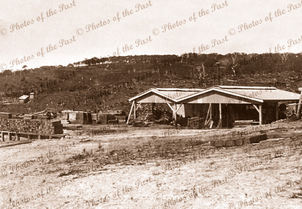 Sawmill, Hindmarsh Tiers SA. c1915. South Australia. forestry