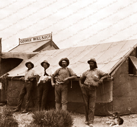 Surveyors' railway camp. George Wills & Co. Office? Northern SA. 1910. South Australia