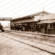 Terowie Railway Station, SA. 1908. Train. South Australia
