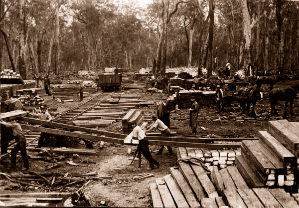 Sawmill near Mount Barker, SA. South Australia. Timber. 1912