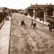 George Street, Millicent, SA. c1910. South Australia. Horse & carriage