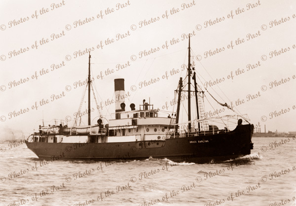 SS GRACE DARLING 1907 - 1918. Shipping