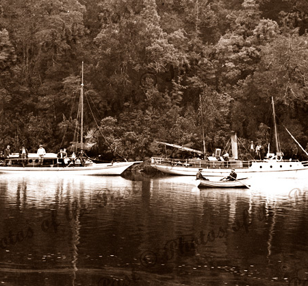 Gordon River, Tasmania. c1890 River boats