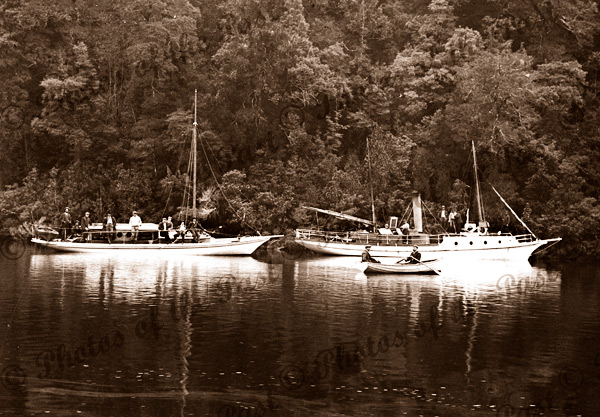 Gordon River, Tasmania. c1890 River boats