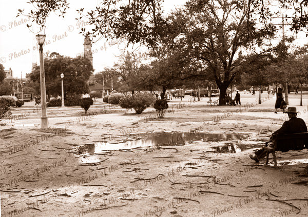 Victoria Square, Adelaide after rain, SA. c1940s. South Australia