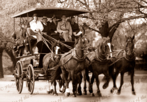 5 horse carriage (Drag) at Oakbank, SA. Easter Monday. c1930. South Australia. Horse racing
