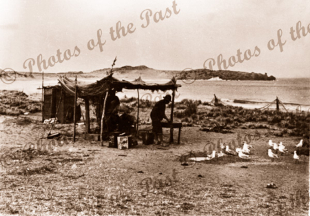 Fishermen's camp at Horseshoe Bay, Port Elliot. SA. c1900s. South Australia